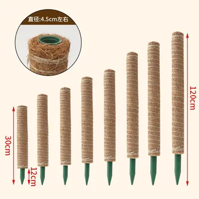 Monstera destek direği, yeşil tırmanma sütunu, hindistan cevizi lifli