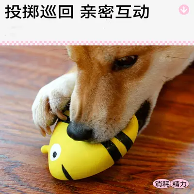 Qmonster Latex Squeaky Dog Toy, Bite-Resistant for Small and Medium Dogs - 5