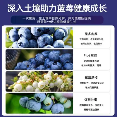 Organic Fertilizer for Blueberries, for Fruits and Vegetables, Long-Lasting