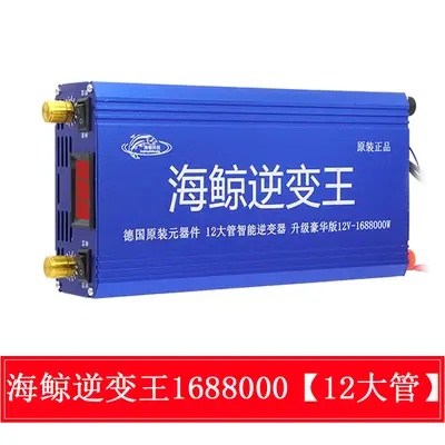 12V Battery Smart Digital Inverter Booster Converter, High Power - 4