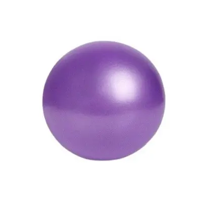 PVC Mini Yoga Topu 25cm Pilates Küçük Topu Pelvik Taban Kas Antrenmanı Fitness Kalın Patlamaya Dayanıklı Mat Buğday Tüpü Topu - 8