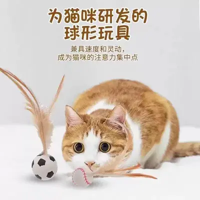 Оптовые игрушки для кошек от производителя: резиновые эластичные мячи с перьями, баскетбольные, футбольные и бейсбольные, для самостоятельной игры, снятия скуки, игрушечные мячи для домашних животных - 3