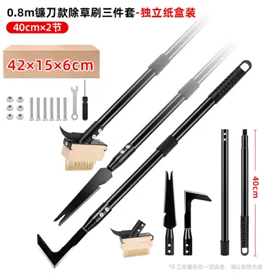 Long Handle Steel Wire Weed Brush Set for Garden and Floor Cleaning