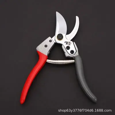 Açık Hava Meyve Ağacı Budama Makası, Profesyonel Kalın Dal Makası, Bahçe ve Bonsai Makası