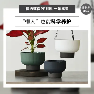 Hanging Self-Watering Plastic Planter for Trailing Plants and Pothos - 4
