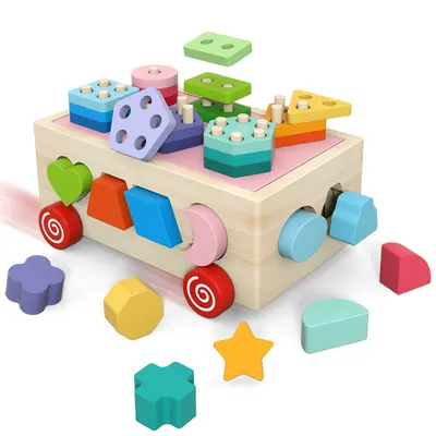 Farm Toy Carrot Pull Shape Matching Baby 1-3 Years - 6