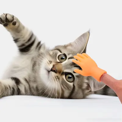 Kedi Oyuncağı Kauçuk Parmak Figürü, Komik El Modeli - 5