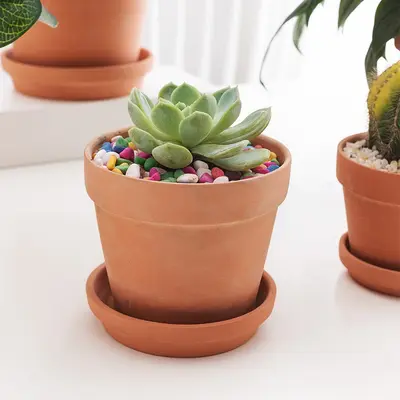 Red Clay Ceramic Flowerpot for Succulents, Water-Permeable - 3