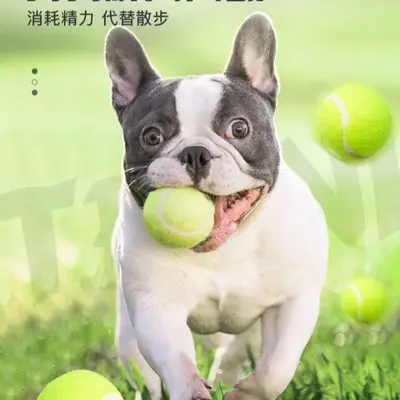 Köpek oyuncağı elastik tenis topu, büyük, orta ve küçük boy, kauçuk - 5