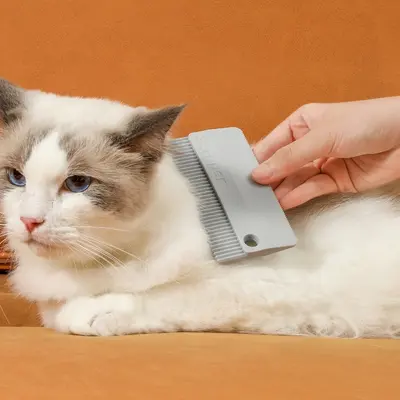 Haustier-Doppelseitiger weicher Gummi-Haarentferner, Sofa-Jacken-Enthaarungsbürste, Baumwoll-Fusselrolle, Tierhaar-Reiniger für Katzen und Hunden, Teppich-Haarentferner