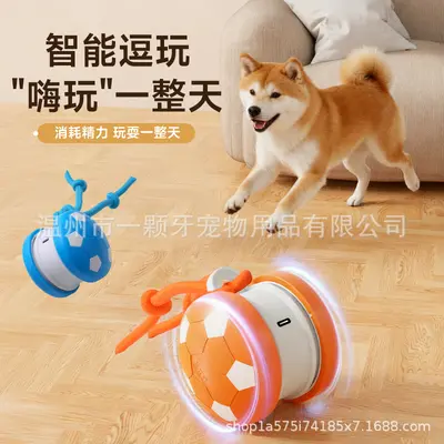 Bite-Resistant Cat Toy Ball with Rope, Self-Play Interactive Toy - 3