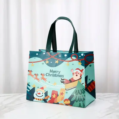 Laminated Christmas Non-Woven 3D Gift Bag with Handles