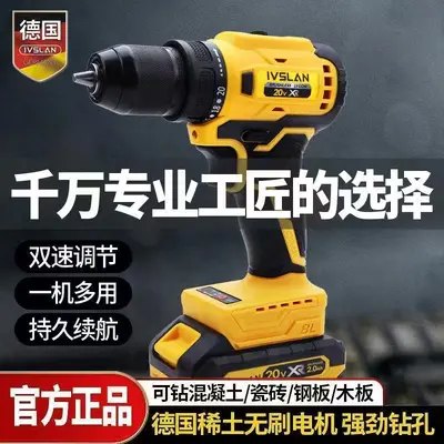 Lion brushless electric cordless drill screwdriver set rechargeable screwdriver dual speed 12V lithium electric drill wholesale impact drill