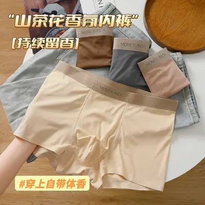 Erkek boxer, buz ipeği, dikişsiz, nefes alabilen, yaz için serin hissi