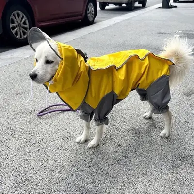 Köpekler için yansıtıcı yağmurluk, tek parça tulum