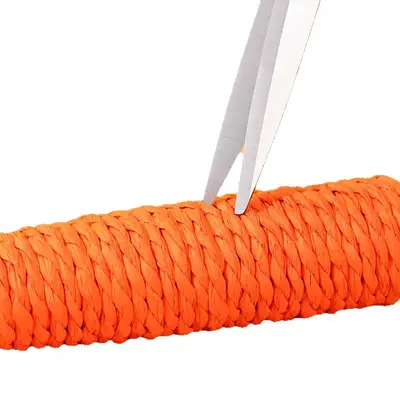 Carrot Cat Toy with Paper Rope, Teaser Wand for Teeth and Claw Grinding - 6