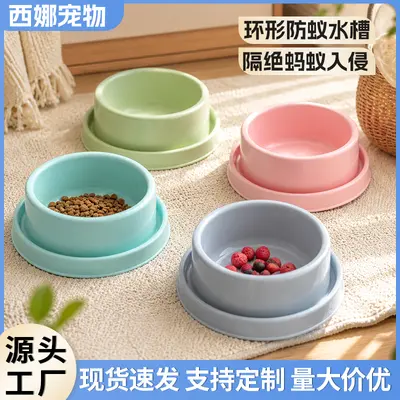 Anti-Ant Cat and Dog Bowl, Non-Slip Base, Anti-Tip