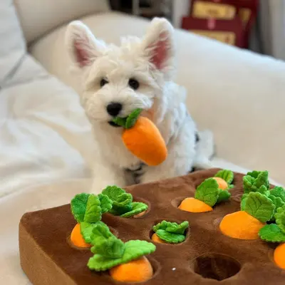 Köpek Oyuncağı Dayanıklı Havuç Çekme Zenginleştirme