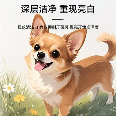 狗狗猫猫牙结石去除器凝胶工具宠物洁牙笔猫咪口臭牙齿清洁