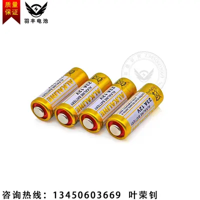 23A 12V Alkaline Battery for Remote Controls and Doorbells