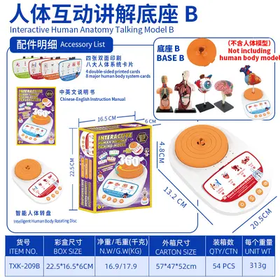 Children STEM Educational Toy, Removable Human Body Anatomy Model - 9