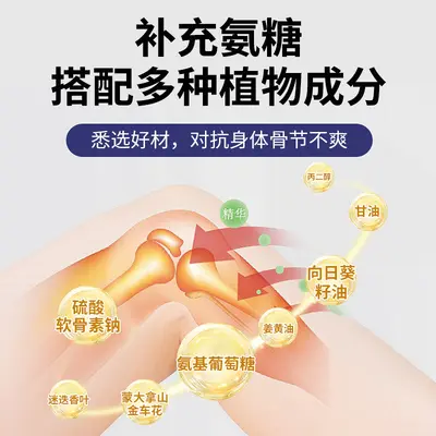 Glucosamine Chondroitin Joint Gel for External Use - 2