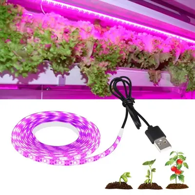 Sınır ötesi bitki büyüme lambası bitki lambası dolgu ışığı tam spektrum su geçirmez led lamba usb ile ev etli sebze tohumları