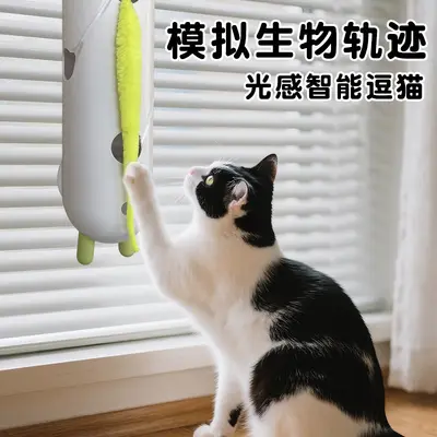 宠物用品猫猫玩具猫咪用品小白兔追追乐电动羽毛强力吸盘自嗨逗猫