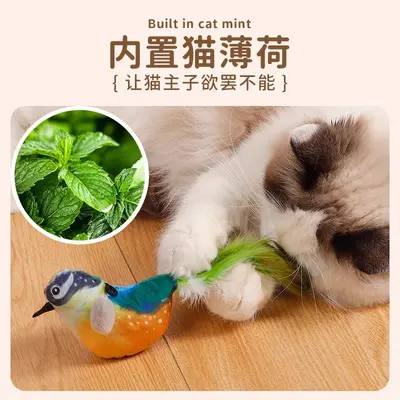 Kedi oyuncağı kuş seslerini simüle eder, kendi kendine eğlence, can sıkıntısını giderir, ısırmaya dayanıklı kedi çubuğu, enerji tüketir, yavru kedi oyuncağı, evcil hayvan malzemeleri - 4