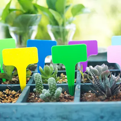 Verdickte Gartenetiketten, Pflanzenschilder, Sukkulenten-Kunststoffetiketten