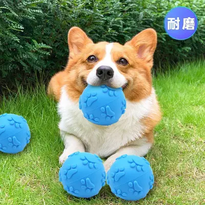 宠物脚印发声弹力球狗狗耐咬磨牙玩具解闷耐磨实心橡胶宠物玩耍球 - 4