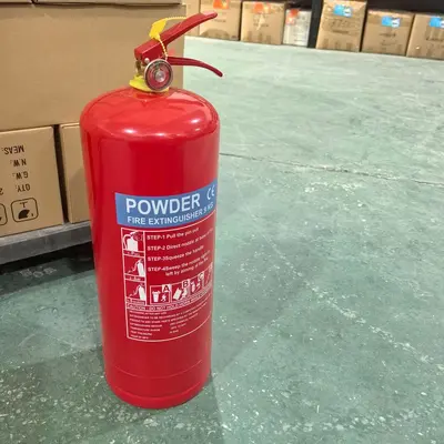 Dry Powder Car Fire Extinguisher Portable for Home and Vehicle - 8
