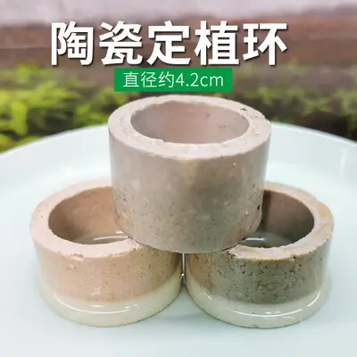 Aquarium Plant Anchoring Ring Set, Volcanic Stone and Ceramic, for Moss and Stem Plants