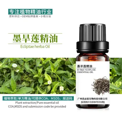 厂家供应墨旱莲精油 旱莲草油植物单方精油原料批发  墨旱莲油