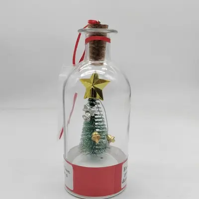 Christmas Tree Message in a Bottle with Christmas Voice Recording Gift - 8