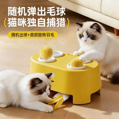 Electric Feather Cat Teaser Wand Toy, Self-Play for Cats