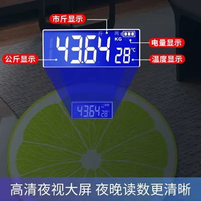 Electronic weight scale, digital, high precision