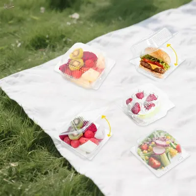 Transparente Kunststoffbox für Picknick, tragbar für Kuchen und Burger