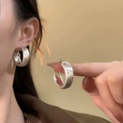 拉丝款集合几何大耳圈轻奢高级夸张耳饰金属哑光小众轻奢气质耳饰 - 9