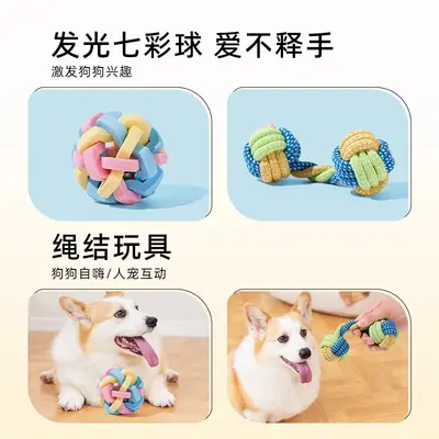 狗狗玩具磨牙耐咬发声自嗨解闷神器泰迪比熊小型幼犬宠物玩具用品 - 5