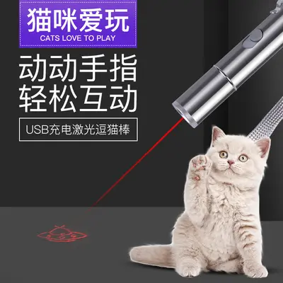 Laser Cat Toy, Infrared Pen, Interactive for Kittens - 5