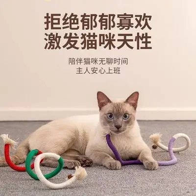 Katzen-Kauseil-Spielzeug und Federangel - 4