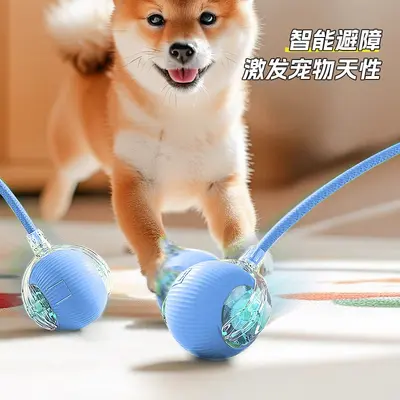 狗狗玩具自动遛狗球耐咬自嗨解闷宠物电动智能逗狗小狗跳跳球