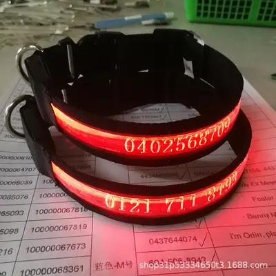 LED-аксессуары для домашних животных, светящийся ошейник для собак с USB-зарядкой, лазерная гравировка имени, поводок-ошейник против потери для выгула собак, домашние питомцы