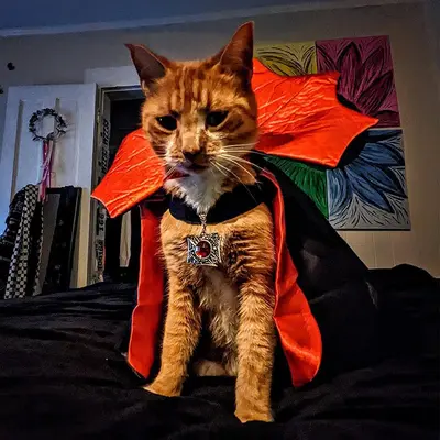 Halloween Pet Vampire Cape Cross-Border Bestseller Stand-Up Collar Cat and Dog Cloak Magic Witch Costume Party Dress-Up