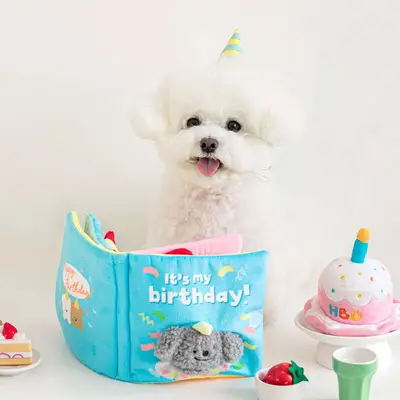 Pet Sniffing Book, Puzzle Toy for Cats and Dogs, Plush with Squeaker - 10