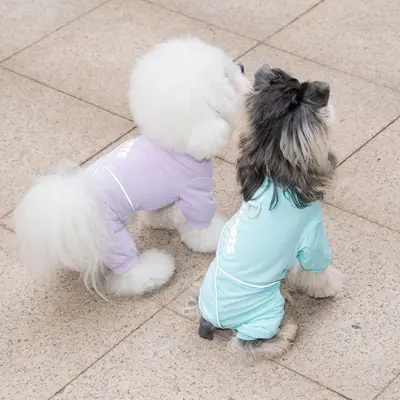 Reflektierende bedruckte Hundekleidung, Frühjahr und Sommer