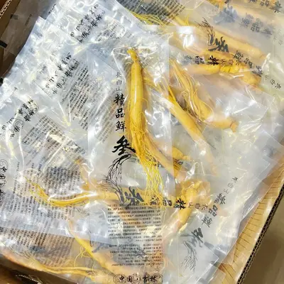Frischer Changbai-Ginseng, nordostchinesische Spezialität, zum Ansetzen in Alkohol - 11