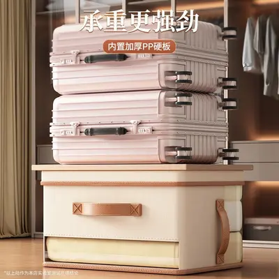 Bag Storage Box Large Capacity - 5