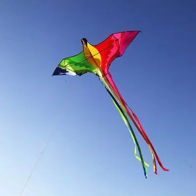 Rainbow Phoenix Kite for Adults, with Front Pole